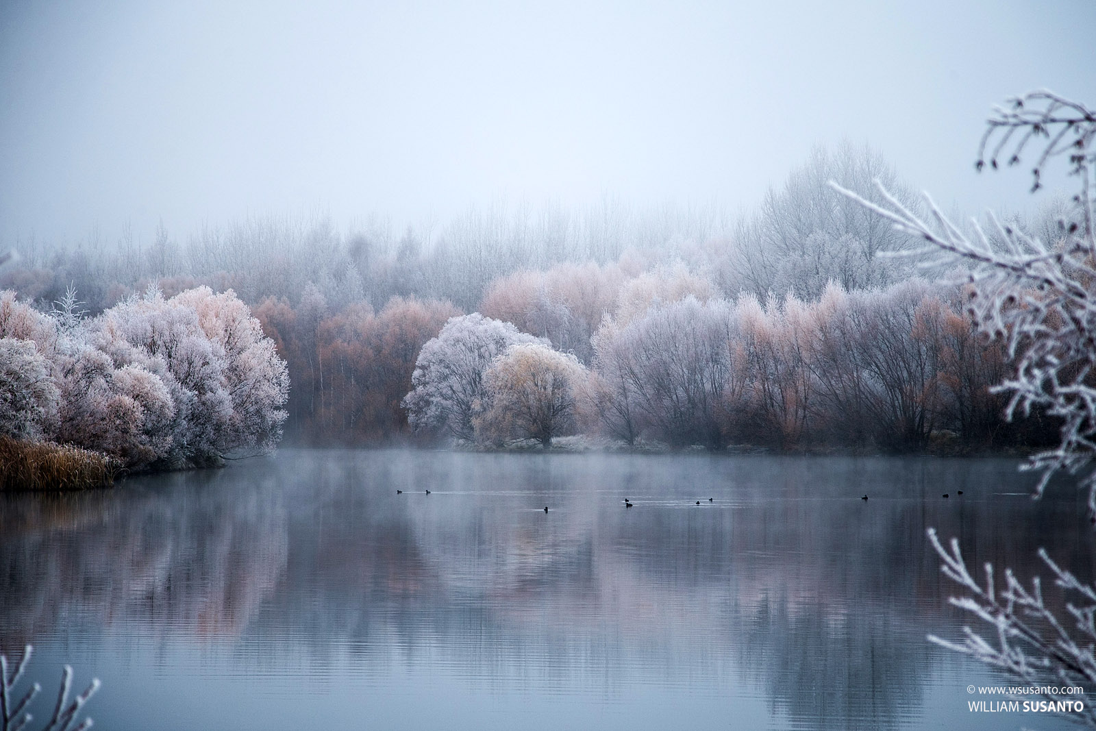 Along State Highway 8